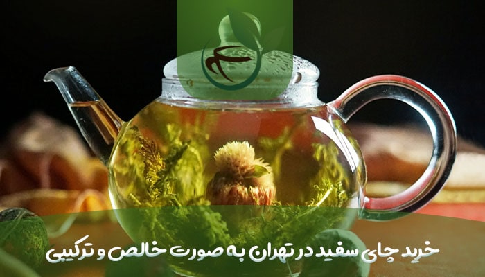 خرید چای سفید در تهران